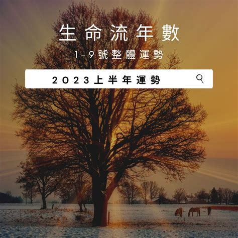 2023生命靈數流年5